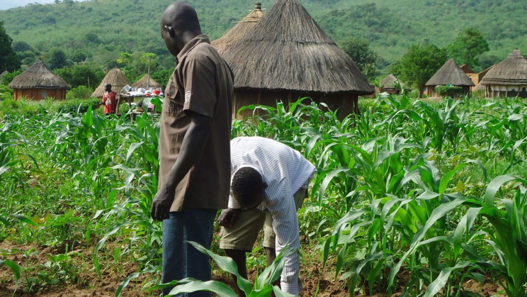 youth farming