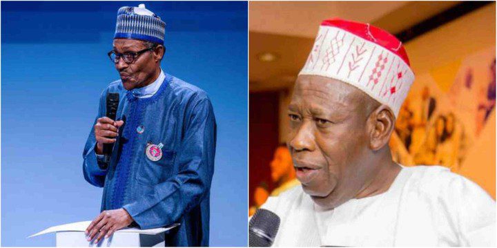 8136344 gandujeisaresponsibleleaderbuharilailasnews3 jpeg977776f37f99a47b9a423b49725a00a2