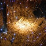 Jesus Christ born in the manger