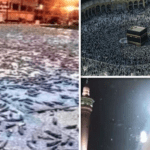 BIBLICAL PLAGUE OF LOCUST SWARMS INVADE MECCA SAUDI ARABIA