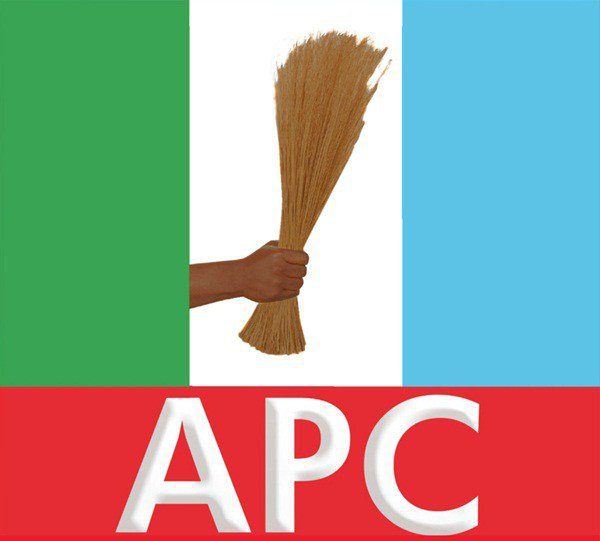 APC LOGO 1 1