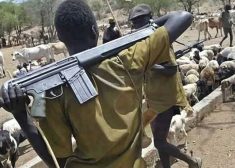 Fulani Herdsmen with AK47 Guns