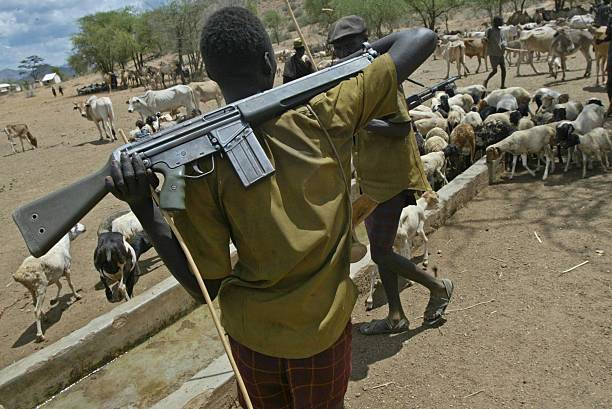 armed turkana herdsmen guard their livestock at a watering hole at picture id57104283