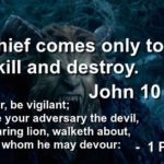The thief comes only to steal and kill and destroy. I came that they may have life and have it abundantly.