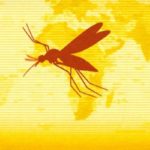 Yellow Fever Outbreak 764x400
