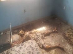 Police discovers decomposing body in Anambra state