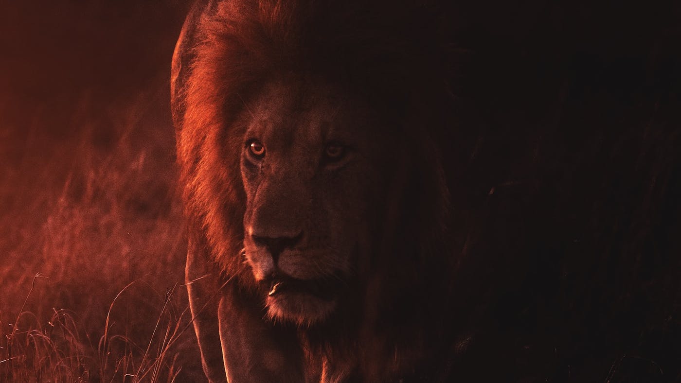 We Dare Not Ignore the Devil