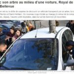 Art installation  A tree grew through a car overnight