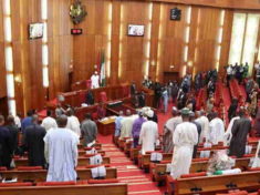 Nigerian Senate during plenary