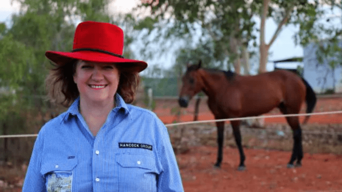 Billionaire mining magnate Gina Rinehart owns the most land at 9.7m ha but is topped by five other companies including two foreign groups by worth.Source:Supplied