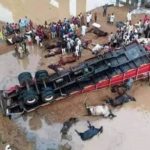 Trailer loaded with Fulani cows goats and Almajiris heading to the South East fell at the Lokoja Bridge killing many