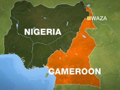 Nigeria and Cameroon border map