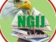 Nigeria Guild of Investigative Journalists elects new executives