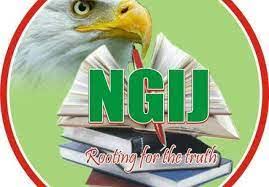 Nigeria Guild of Investigative Journalists elects new executives