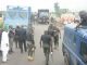 Police and Bullion Van related to Governor Amosun's incident
