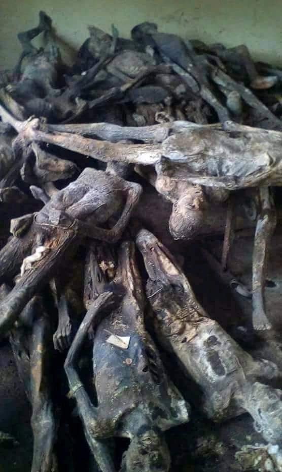Dead bodies dried like stock fish discovered in police raid in Togo
