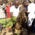 How a dreaded voodoo ritualist bewitched villagers and escaped in Umualum Nekede