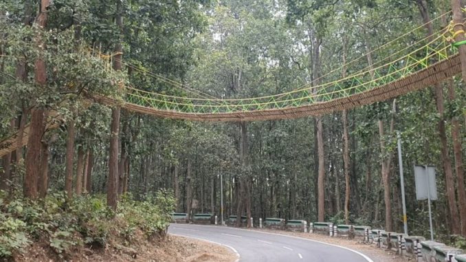 India builds bridge to help reptiles cross road