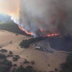 Heatwave sweeps Australian cities and raises bushfire danger