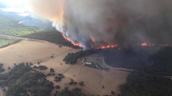 Heatwave sweeps Australian cities and raises bushfire danger