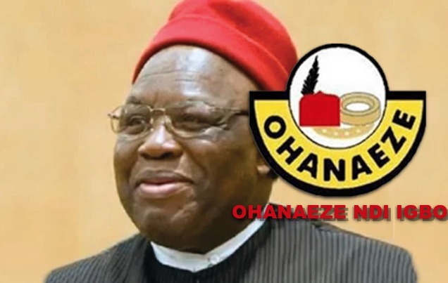 The new President General of Ohaneze Ndi Igbo, Prof George Obiozor