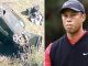 Tiger Woods Involved in Auto Crash