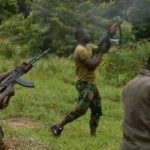 Fresh Bandit Attacks in Zamfara state