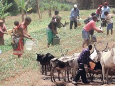 Fulani Herdsmen and Farmers Clashes