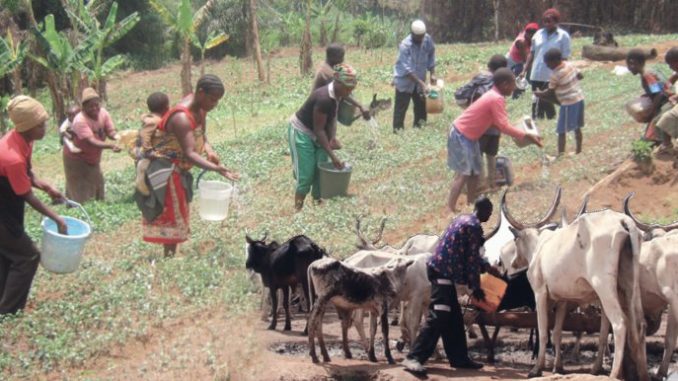 Fulani Herdsmen and Farmers Clashes