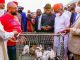 Governor Hope Uzodinma launches Rabbit rearing programm
