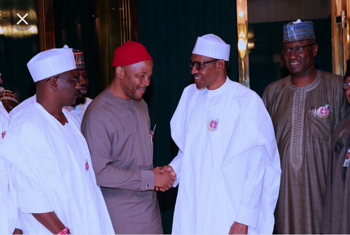 Hon. Chukwuemeka Nwajiuba shakes hand with President Muhammadu Buhari