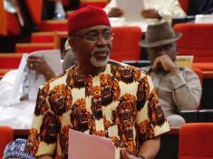 Nigerian Senate Minority Leader, Senator Enyinnaya Abaribe (PDP)