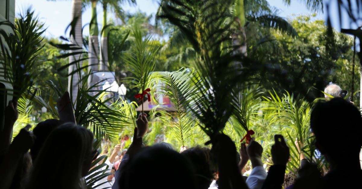 Palm Sunday
