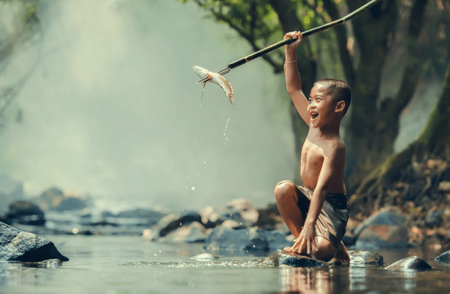 Do Not Despise the Day of Small Things   Image Small boy catches a small fish by spearfishing