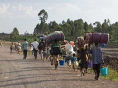 More displacements as residents flee town in Borno
