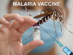MALARIA VACCINE