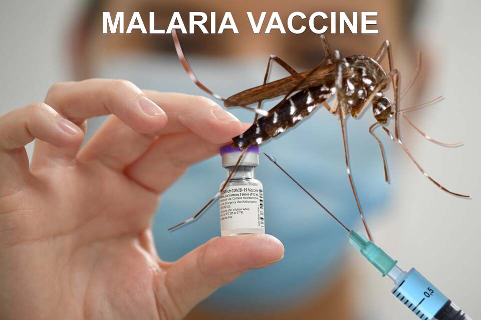 MALARIA VACCINE