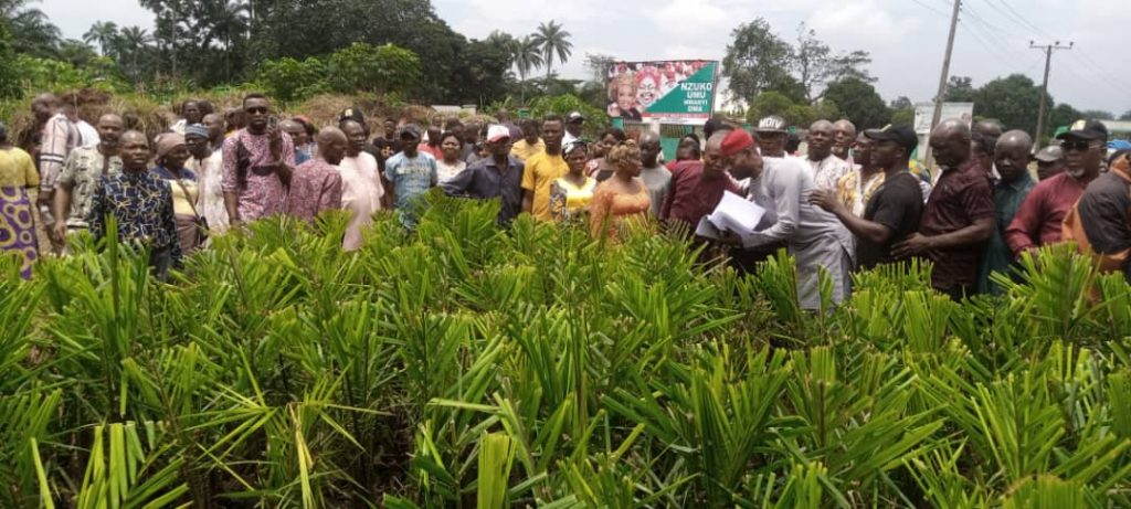 CHIEF DAMIAN COLLABORATES WITH IMO GOVERNMENT ON AGRICULTURAL DEVELOPMENT