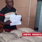 NDLEA RELEASES DETAILS OF INTERCEPTED ₦6BILLION INSURGENTS' DRUGS IN LAGOS PORT