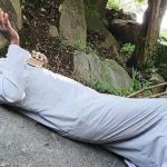 Prophet on the mountain