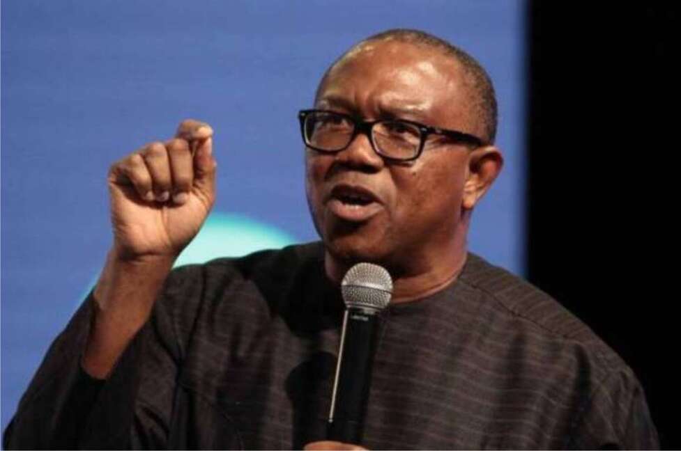 Former Governor of Anambra State - Peter Obi