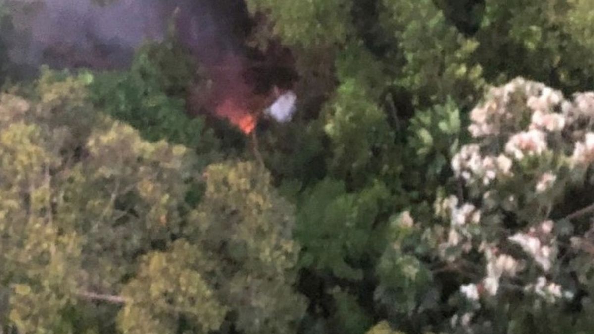 Plane Crashes With 11 People Onboard