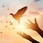 How to forgive and let gp