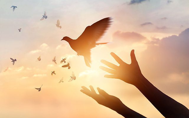 How to forgive and let gp