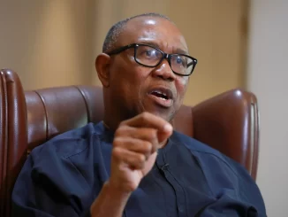 Peter Obi.jpeg 2