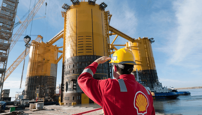 Shell plant