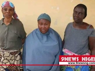Woman behind food price hunger protest in Minna Arrested