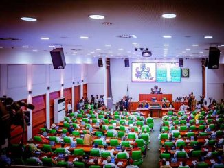 Nigerian Lawmakers Seek Six-year Tenure For President, Rotation Among Zones