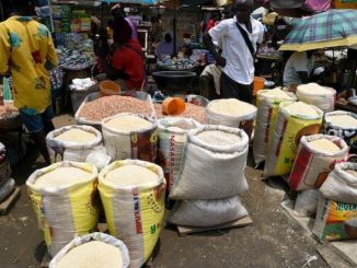Food Scarcity: Bauchi Traders Laments, Blame Hike On Hoarders