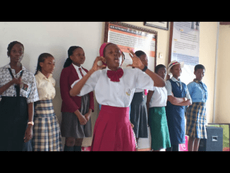 Pupils From Public Schools Shine At Ibadan Inter-Girls Oratory Competition